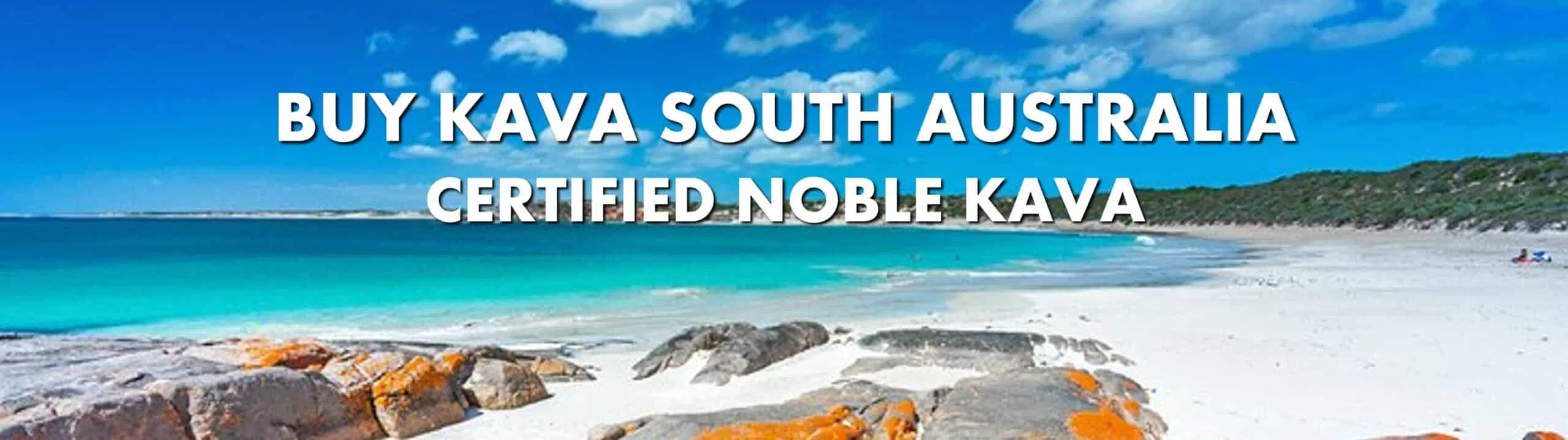 Beach scene with caption Buy Kava South Australia Certified Noble Kava