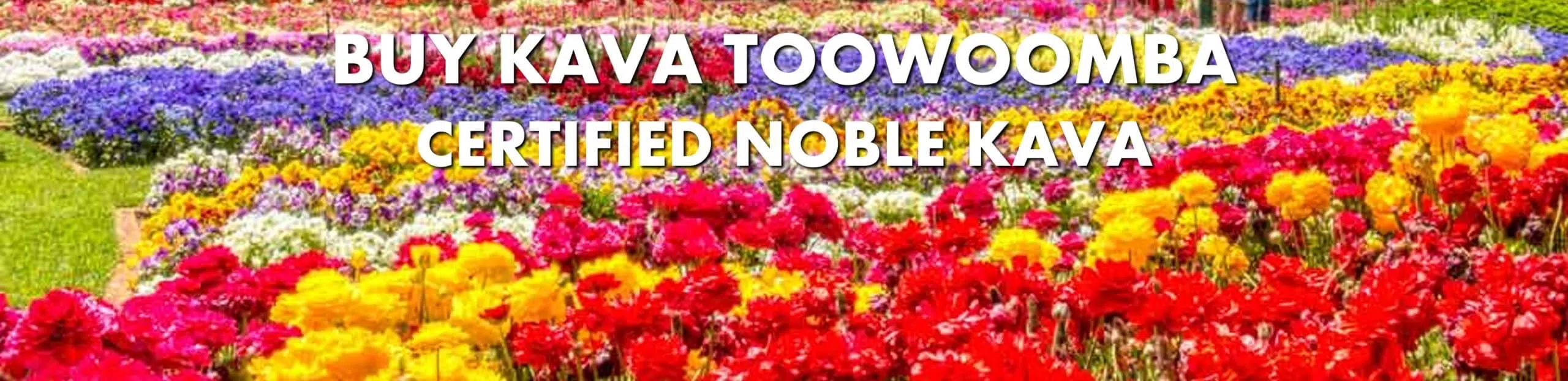 Flower display in Toowoomba Queensland with caption Buy Kava Toowoomba Certified Noble Kava