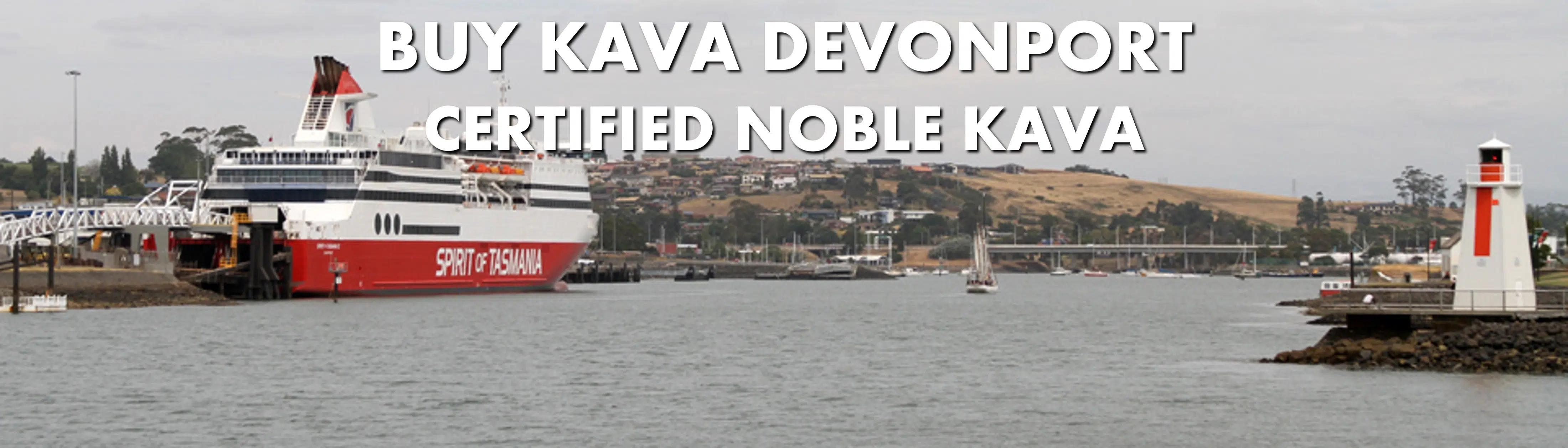 Image of Princess of Tasmania at dock in Devonport Tasmania with caption Buy Kava Devonport Certified Noble Kava