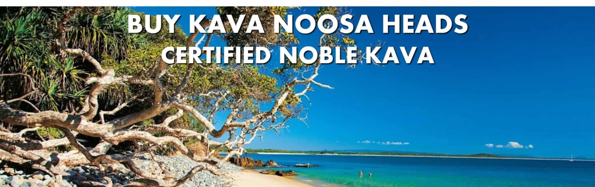 Beach scene in Noosa Heads Queensland with caption Buy Kava Noosa Heads Certified Noble Kava