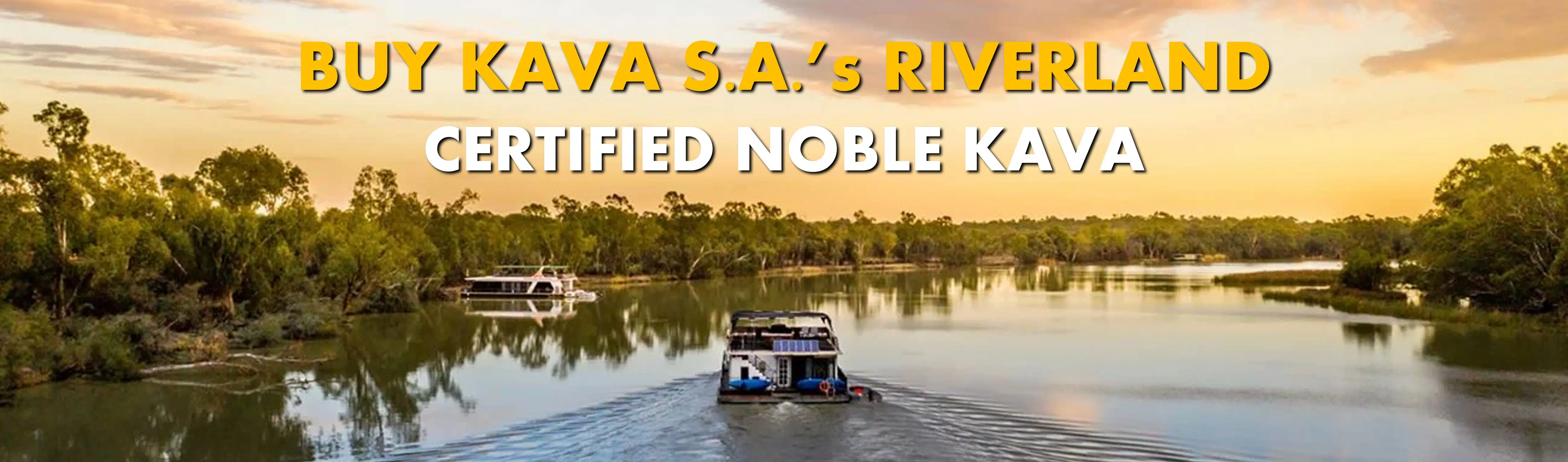 Boat at dusk on Murray River near Paringa, Riverland, South Australia with caption Buy Kava S.A.'s Riverland Certified Noble Kava