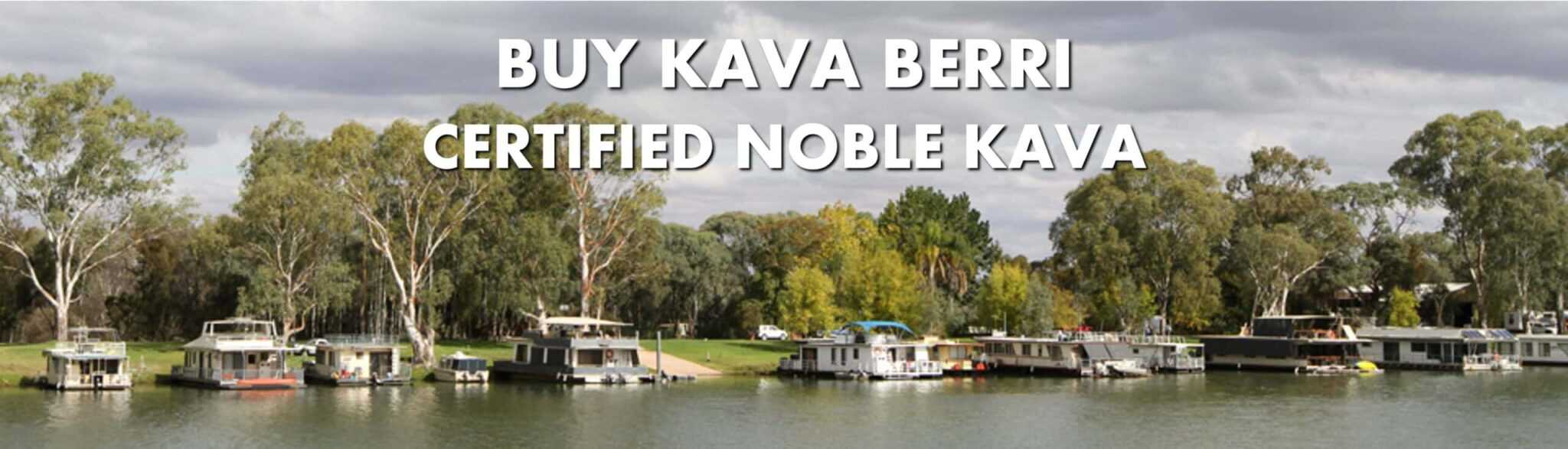 Houseboats on the River Murray near Berri with caption Buy Kava Berri Certified Noble Kava