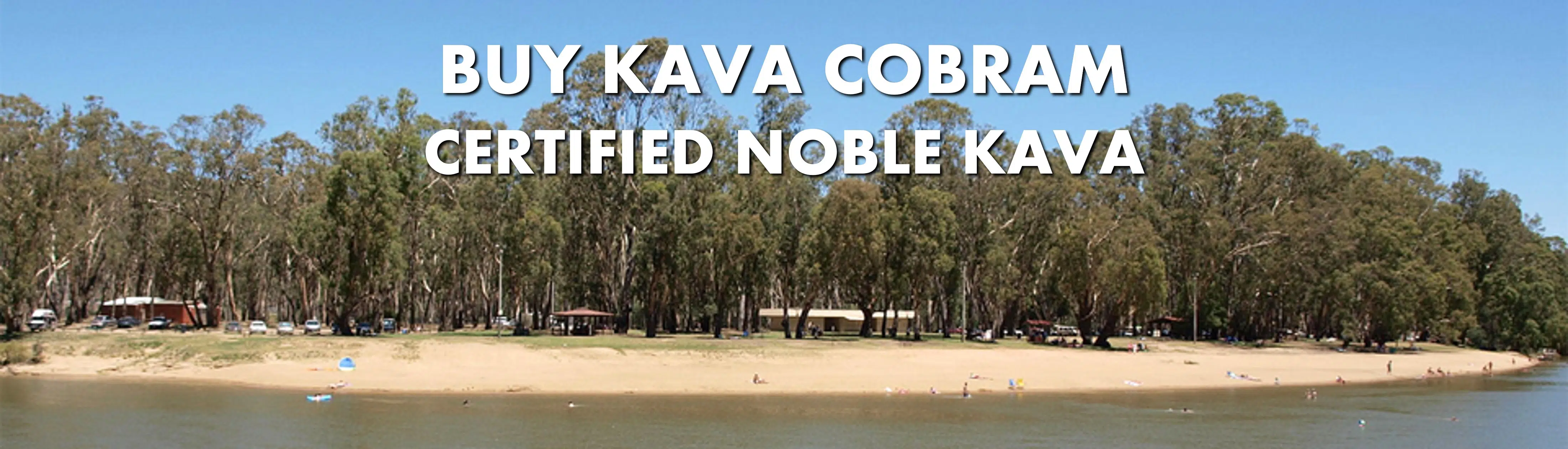 Beach scene on River Murray with caption Buy Kava Cobram Certified Noble Kava