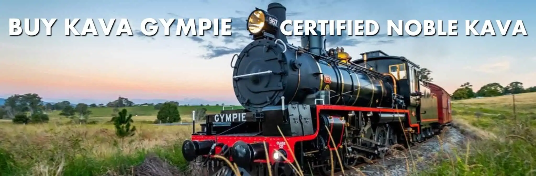Mary Rattler train in Gympie Queensland with caption Buy Kav Gympie Certified Noble Kava