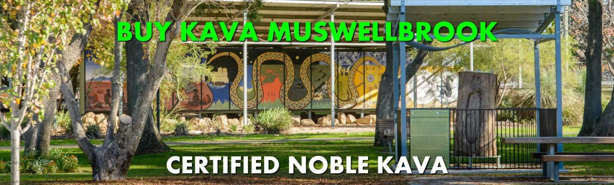 Artistic painting in Muswellbrook park New South Wales with caption Buy Kava Muswellbrook Certified Noble Kava