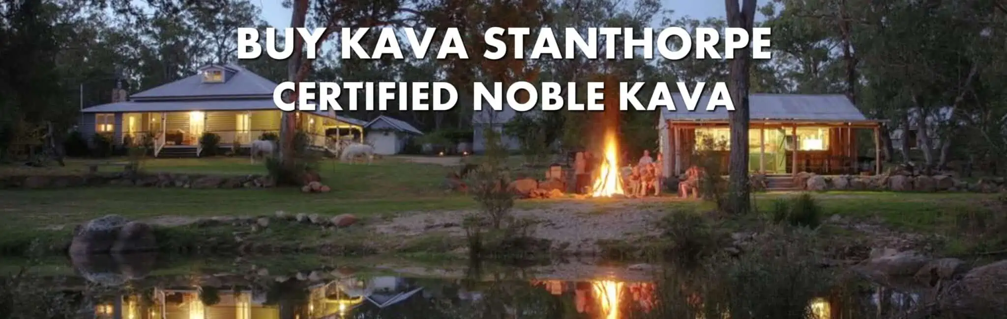 Night scene on river's edge in Stanthorpe Queensland with caption Buy Kava Stanthorpe Certified Noble Kava